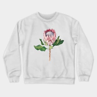 Watercolor protea flower Crewneck Sweatshirt